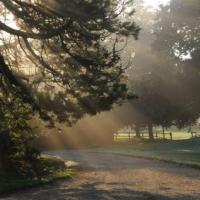 Parc