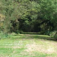 Parc