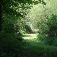 Parc
