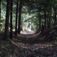 Parc
